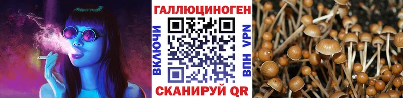 Псилоцибиновые грибы GOLDEN TEACHER дарнет шоп Пойковский